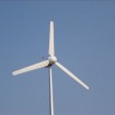 5KW Home Wind Power