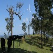 3000w wind generator in Australia