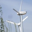 Hummer 50KW Micro Wind Turbine