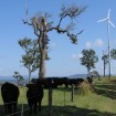 Hummer 3KW Wind Turbine For Farm